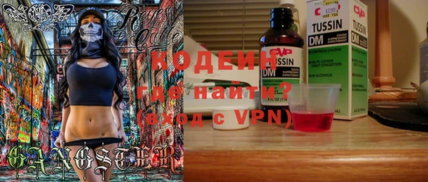 PSILOCYBIN Белокуриха