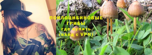 мет Балахна